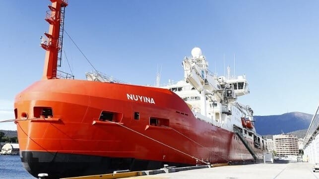 nuyina 