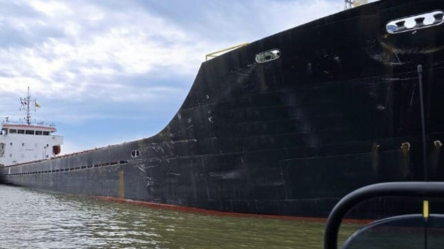 Ukraine detains ship