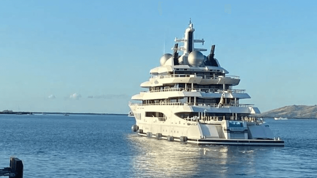amadea