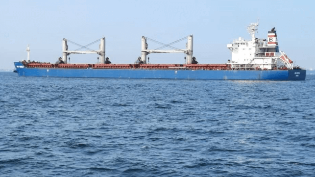 Kubrakov bulker