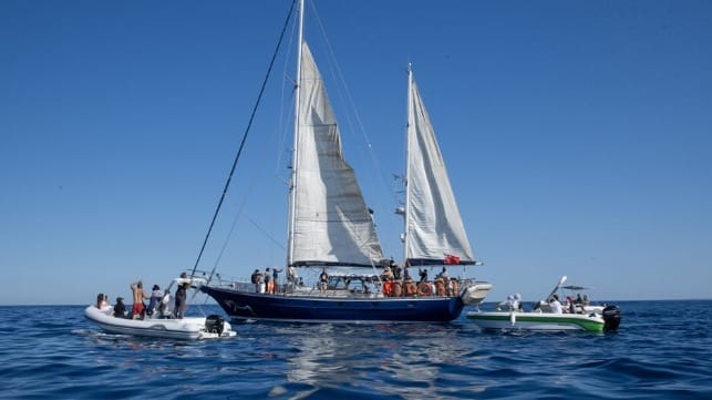 The boat carrying Thunberg and 11 other activists, a 60-foot yacht recently renamed Madleen (Freedom Flotilla Coalition)