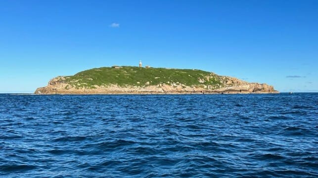 Australia offshore wind energy development 