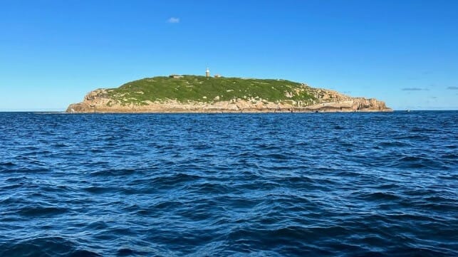 Australia offshore wind