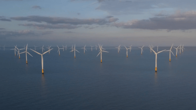 vietnam wind farm