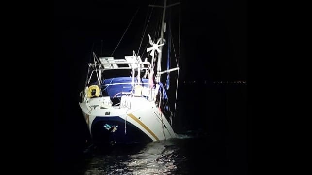 Bonhomme William sinks