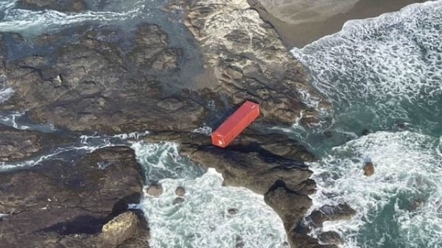 CCG zim kingston grounded box