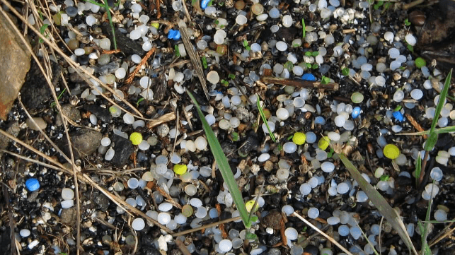 Pure ocean fund