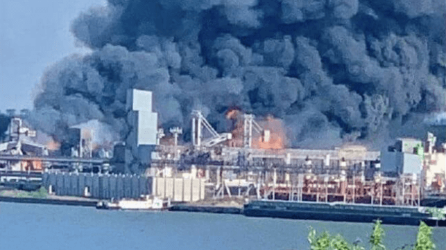 grain terminal 