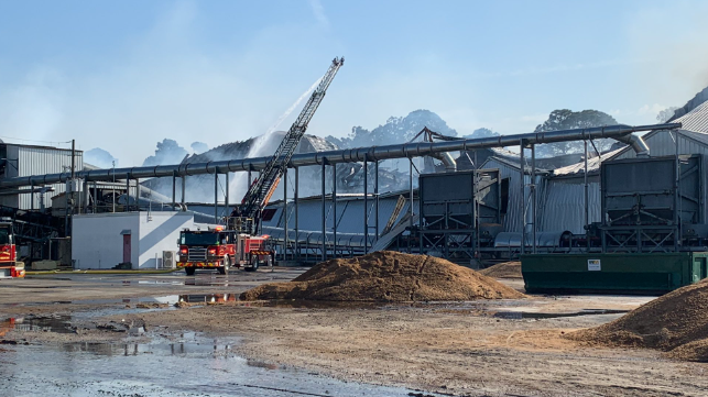 wood pellets brunswick