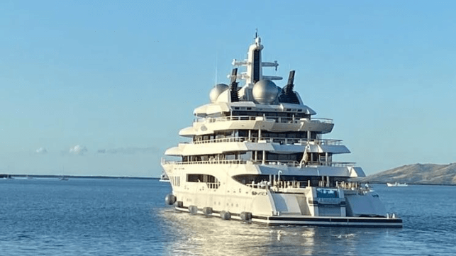 Amadea