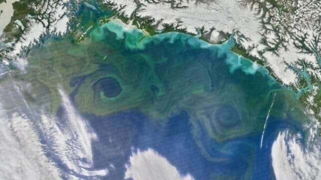 Marine carbon