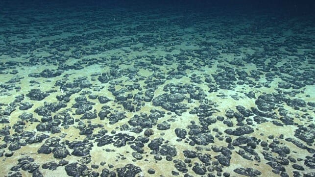 Polymetallic nodules on the seabed (NOAA file image)