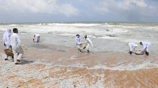 Drifts of partially-burned plastic pellets from XPress Pearl wash up on the beach in Colombo, 2021 (Sri Lankan Environmental Protection Authority)