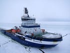 Nordica circa 2009 (Cornelia Klier / CC BY SA 3.0)