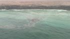 Courtesy Oman Environment Authority