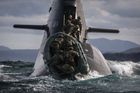 Royal Marines