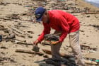 Locals clean Agua Dulce beach in the municipality of Lerdo de Tejada, Veracruz state, Mexico. The state oil company Pemex reported 798 pipeline spills and leaks to its financial regulators during 2014-2025 (Image: Rodrigo Soberanes)