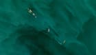 Tankers at the loading terminal southeast of Al-Faw, October 25 (Copernicus / Sentinel-2)