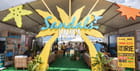 Sandals resort hotels