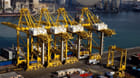 STS cranes at Jebel Ali (file image courtesy DP World)