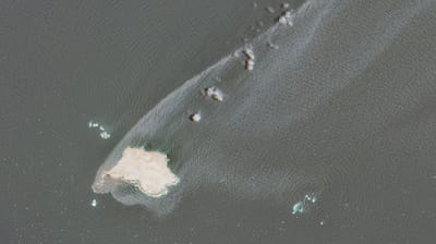 The spread of the oil plume from the Caroline Bezengi wrecked on Jazirat Al Qibliyyah, as seen on August 7 (Sentinel-2b/CJRC)