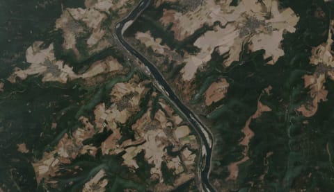 A handful of barges transit the Rhine near Kaub, Germany, July 30 (Copernicus / Sentinel-2)