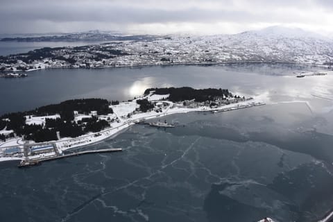Base Kodiak