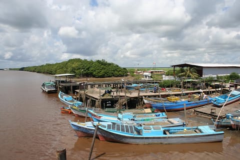 A fishing pier on the Berbice River, 2007 (Ian Mackenzie / CC BY)