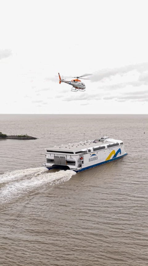 Incat