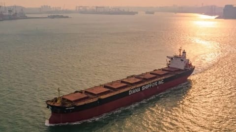 dry bulk carrier