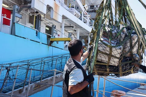 seized cocaine offloading from containership