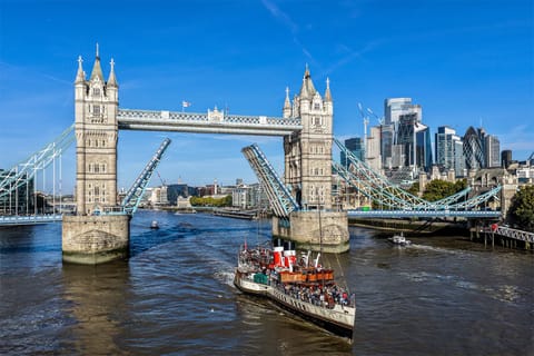 Waverely steamer at Tower Bridge