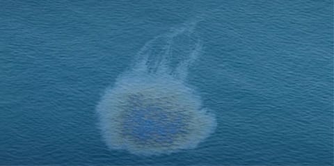 Persian Gulf oil spill