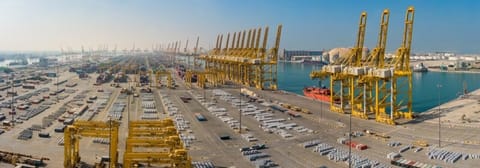 Jebel Ali is a hub for container freight to and from Iran (DP World file image)