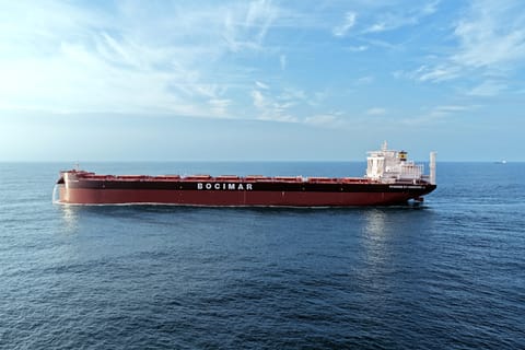 ammonia-fueled dry bulk carrier