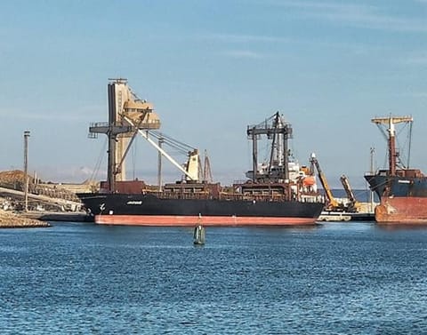 bulker Jacuar