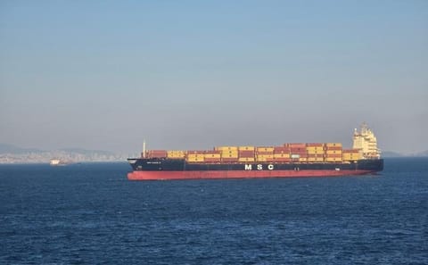 MSC containership