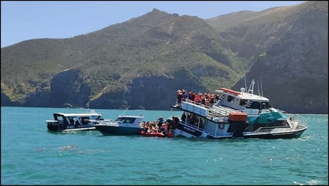 sinking catamaran