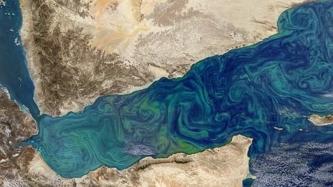 Phytoplankton blooms reveal the turbulent currents of the Gulf of Aden, 2018 (NASA)