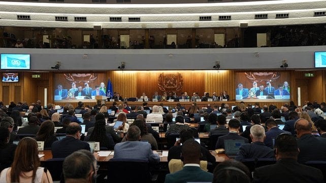 IMO International Maritime Organization