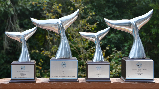 Protecting Blue Whales and Blue Skies Awards