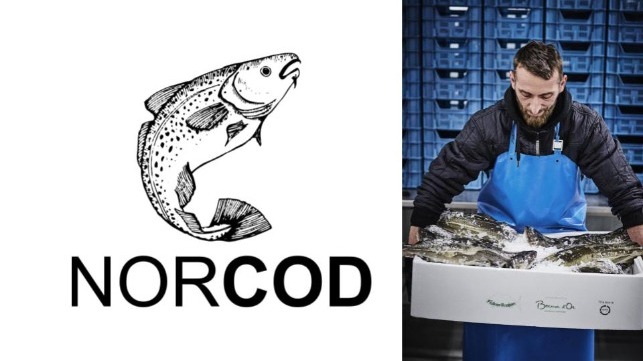 Norcod samples of fresh farmed cod arrive in Denmark