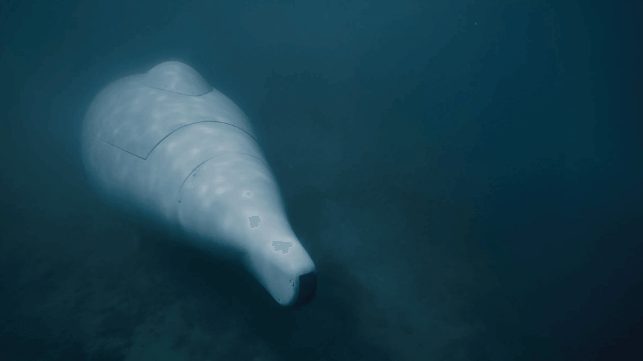 Greyshark