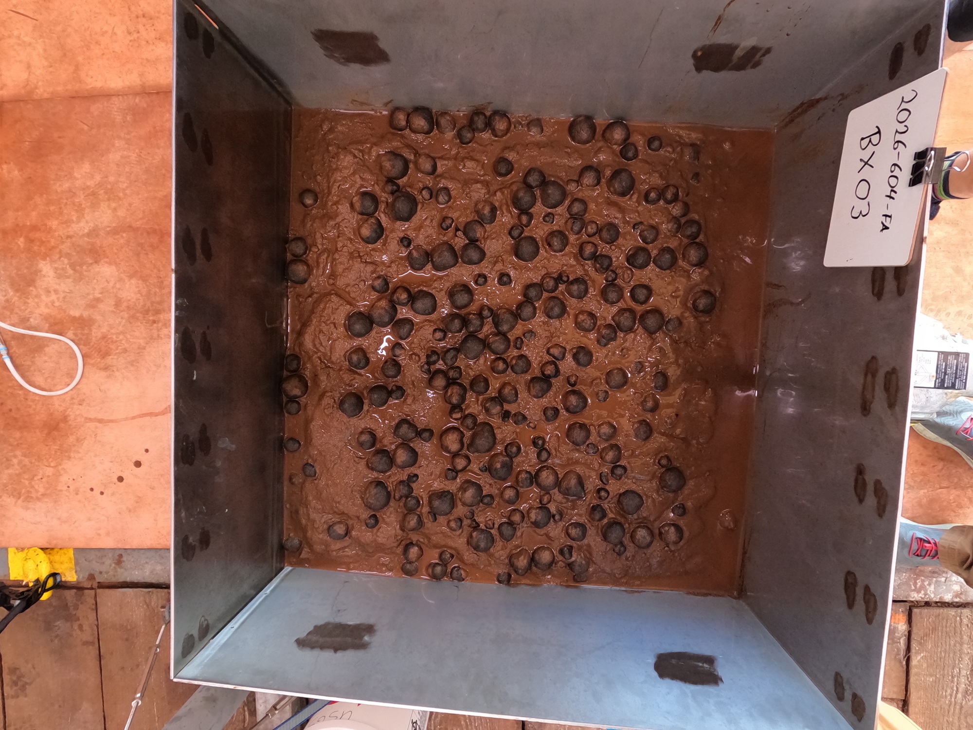 A sample of polymetallic nodules found on the bottom in the lease area (NOAA)