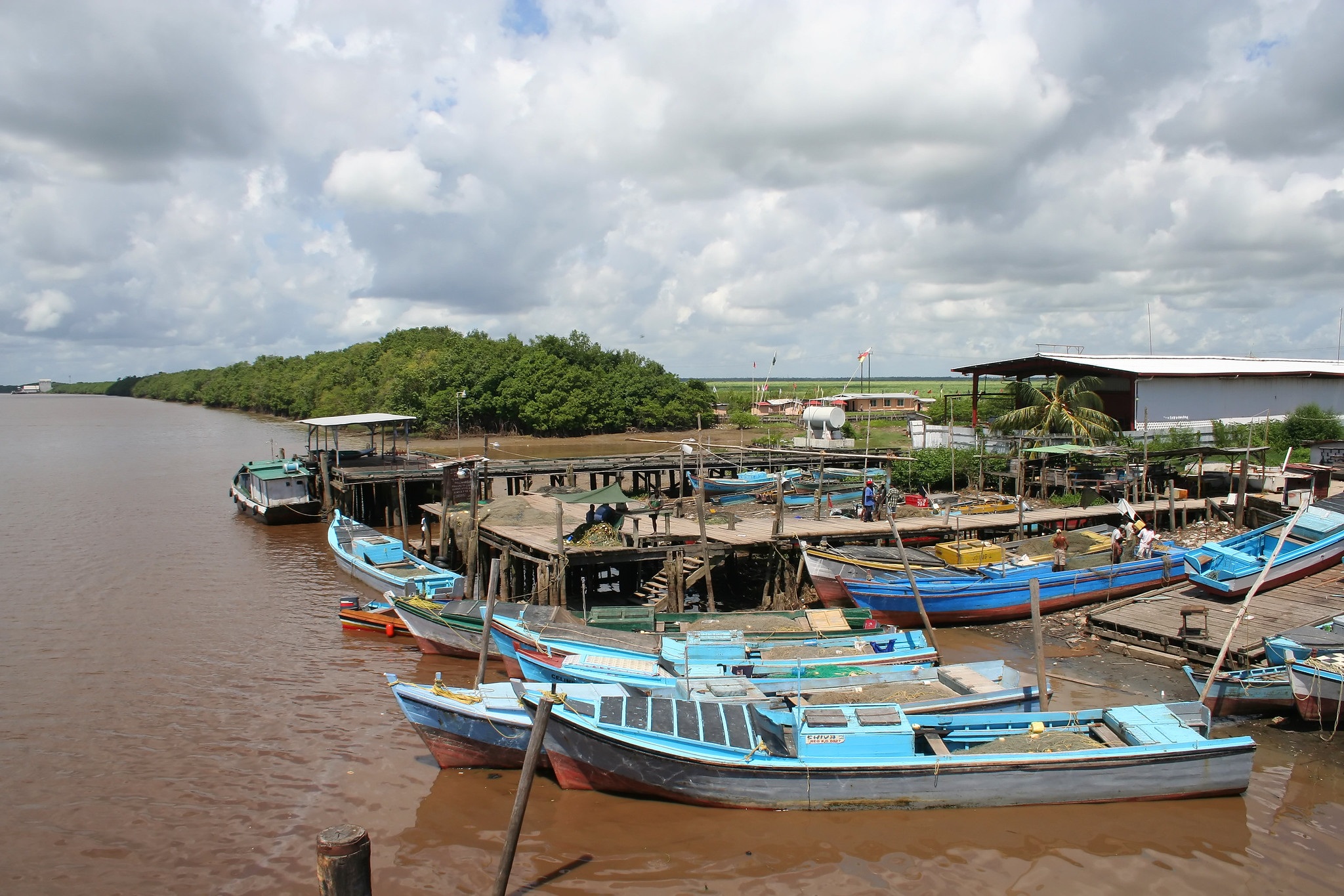A fishing pier on the Berbice River, 2007 (Ian Mackenzie / CC BY)