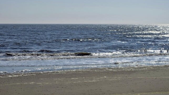 New Jersey shoreline