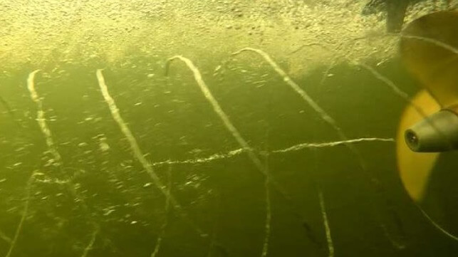 bubble-induced cavitation