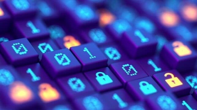 cyber digits