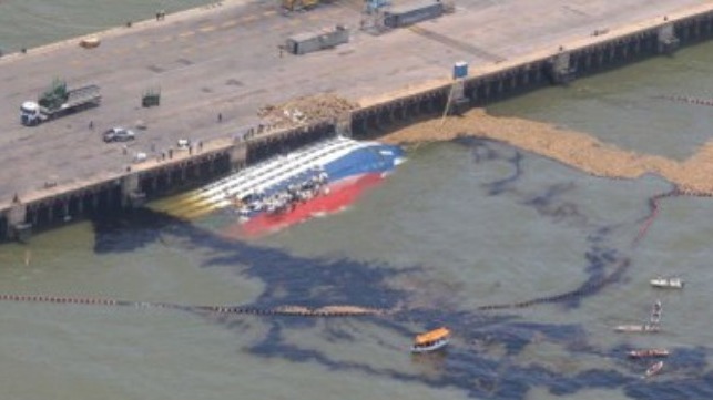 sunken livestock carrier