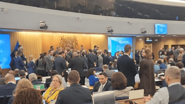 Negotiations on the IMO's floor prior to the Council election vote (CJRC)